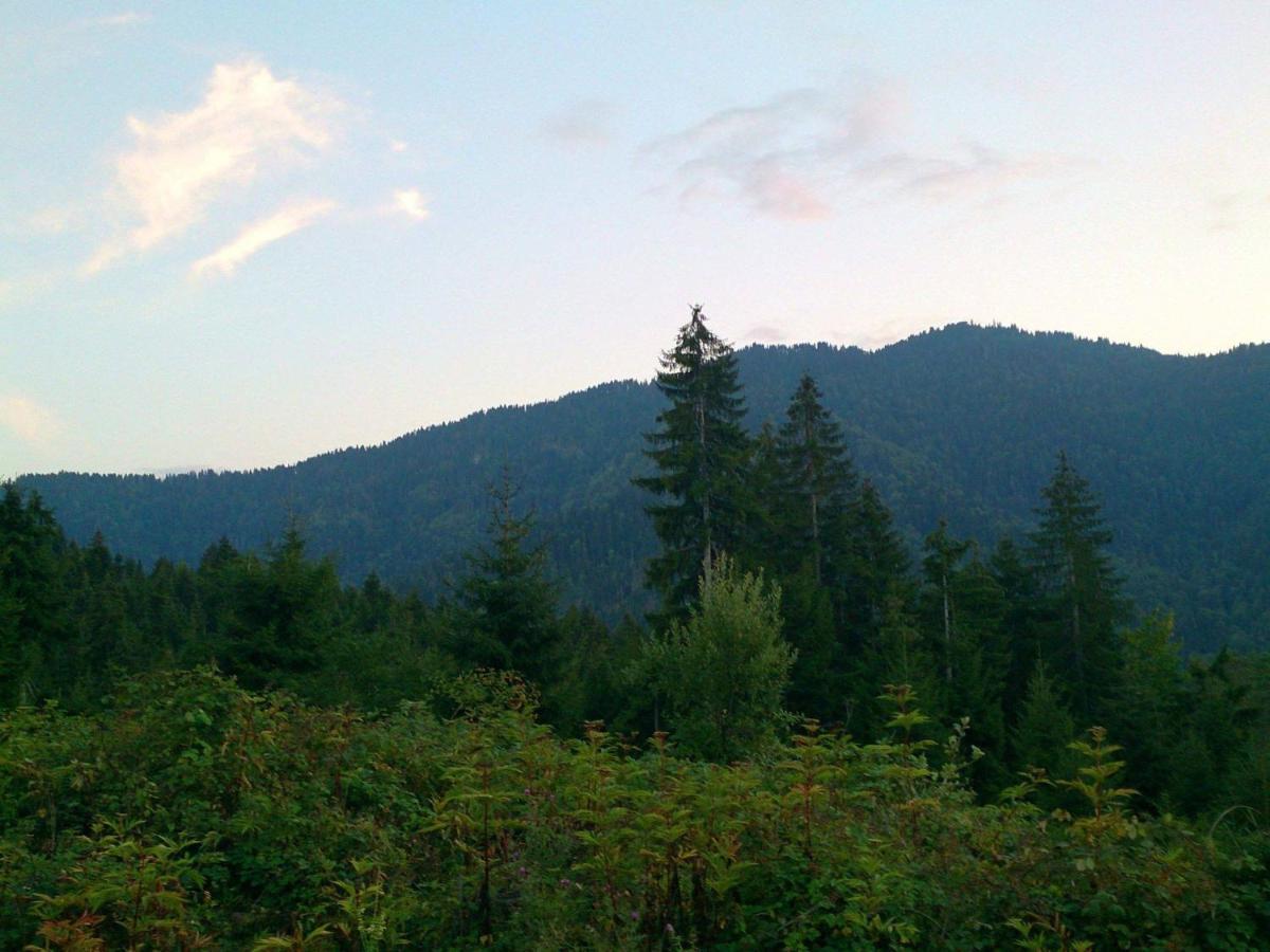 Mountain Resort Gantiadi Боржомі Екстер'єр фото