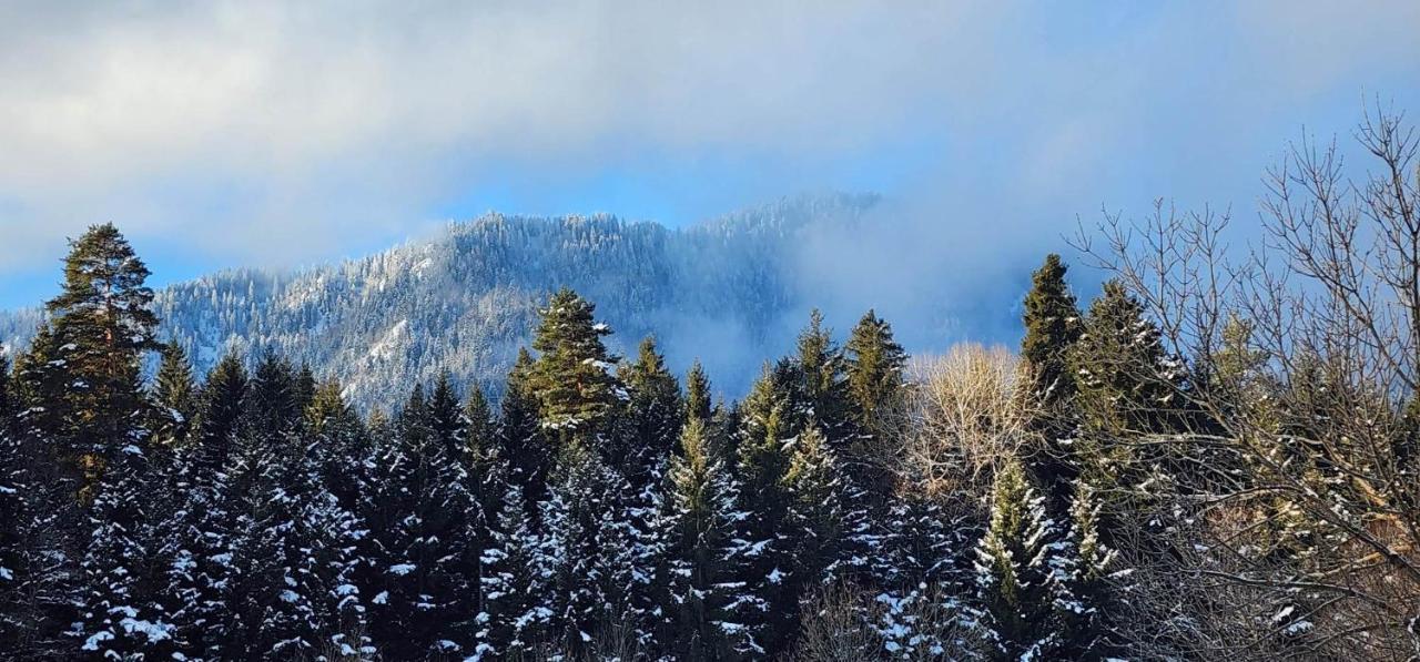 Mountain Resort Gantiadi Боржомі Екстер'єр фото